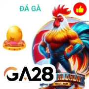 Quy Trình Giao Dịch Rõ Ràng Mỗi giao dịch tại DOM88 đều có mã tra cứu riêng. Thờ